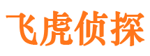 东山侦探公司